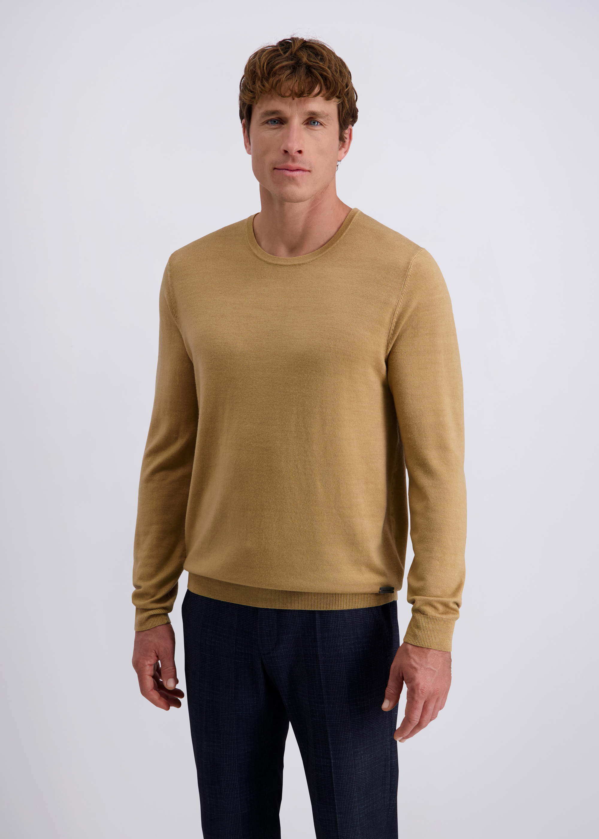 Feinstrickpulllover mit klassischem Rundhals, Lark Frontansicht