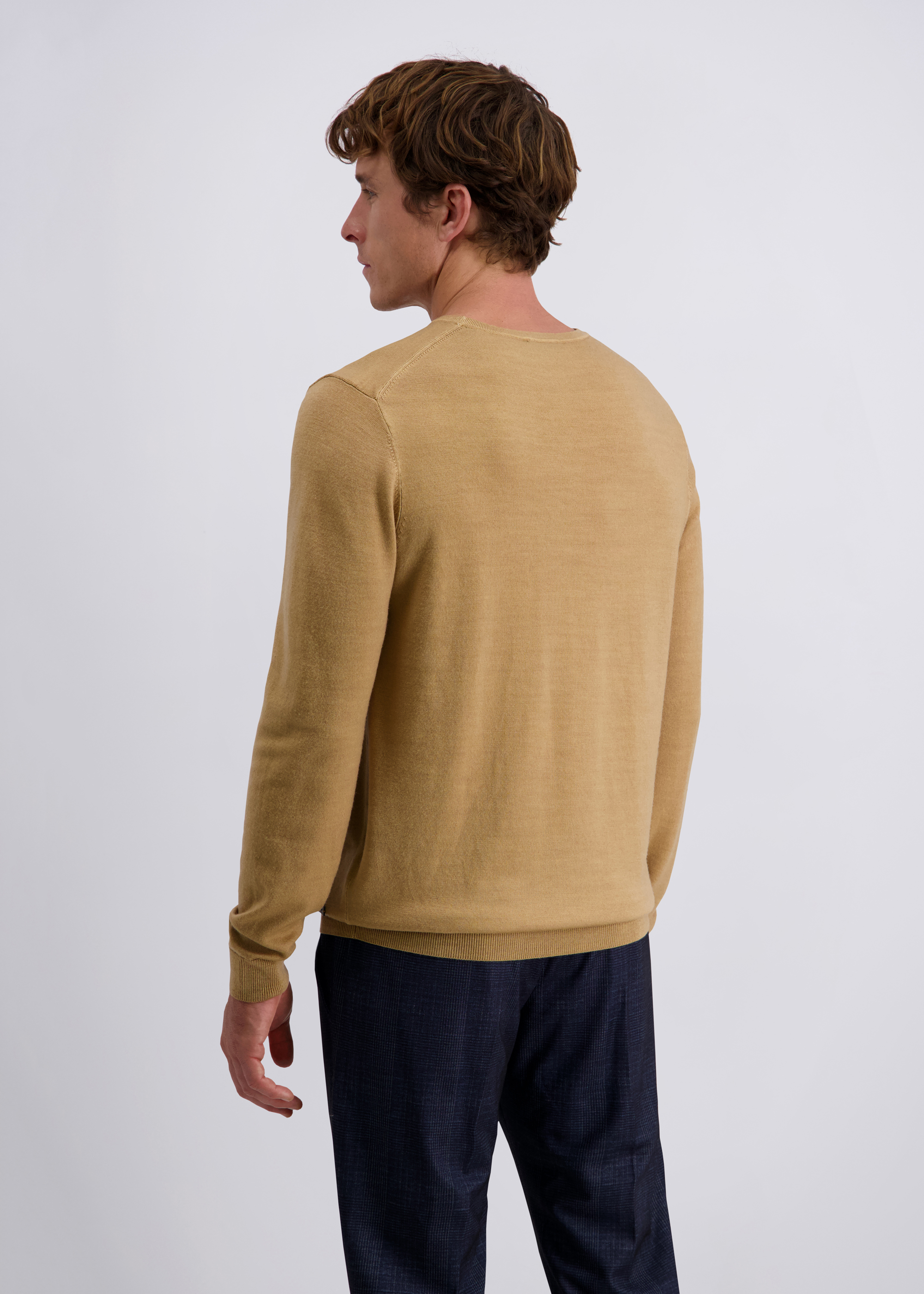 Feinstrickpulllover mit klassischem Rundhals, Lark Detailansicht 1