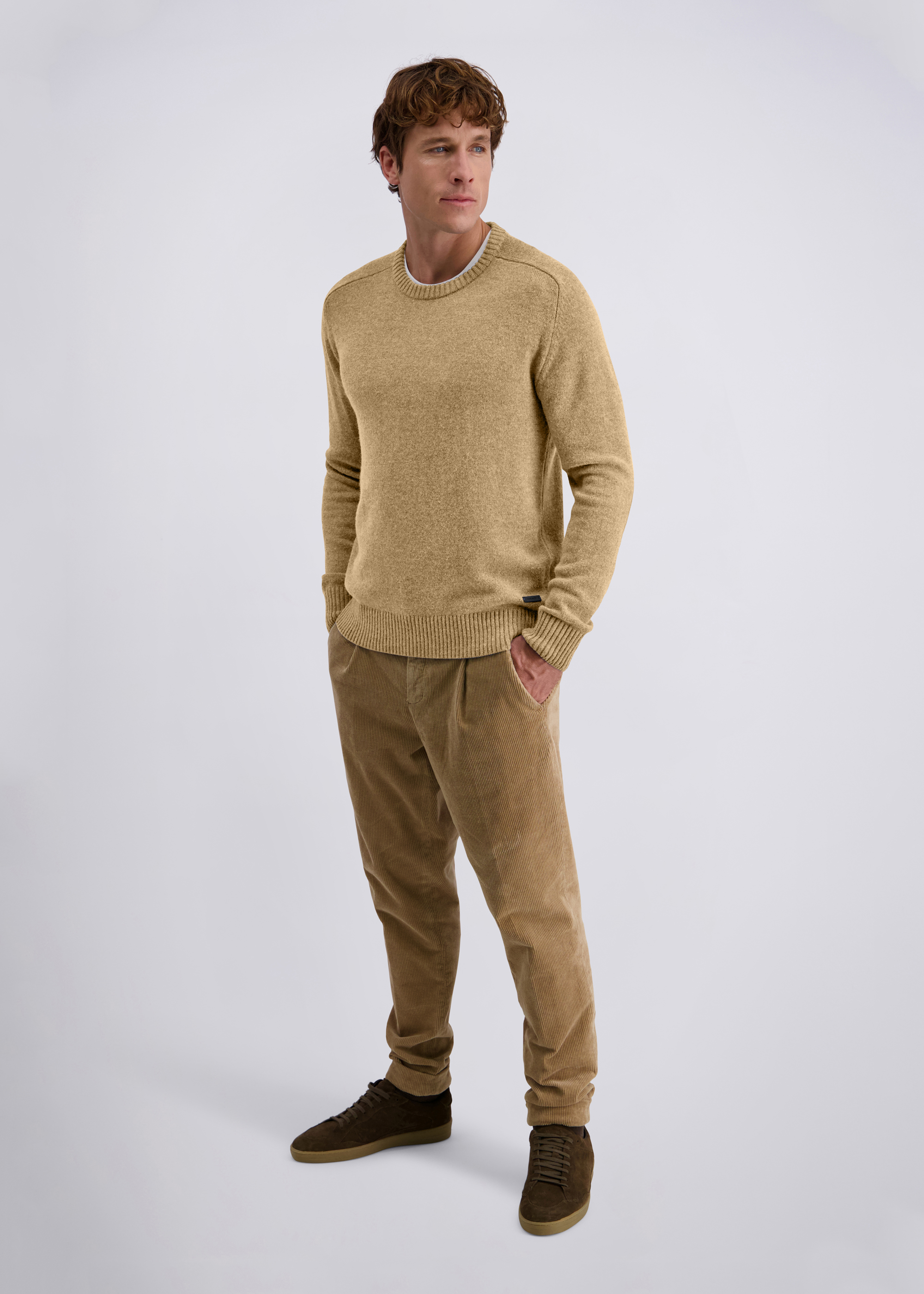 Strickpullover mit Rundhalsausschnitt, Raglanärmeln und Ärmelpatches, Lark Rückansicht